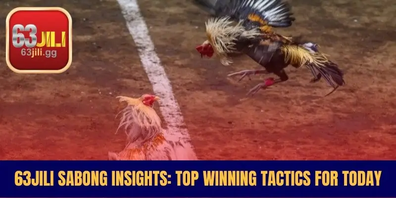 63JILI Sabong Insights Top Winning Tactics for Today