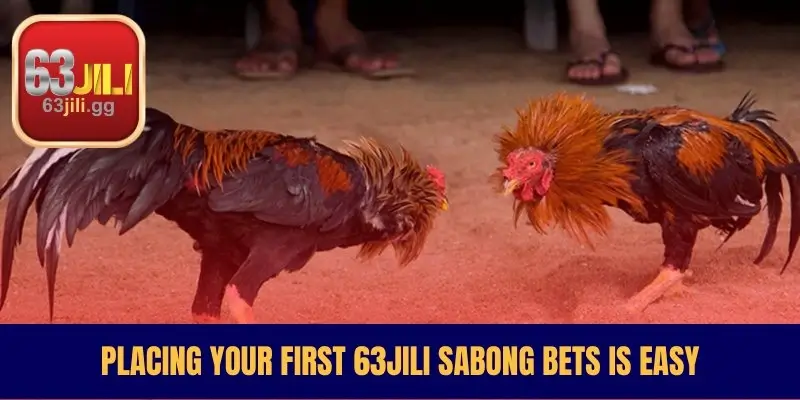 Placing Your First 63JILI Sabong Bets Is Easy