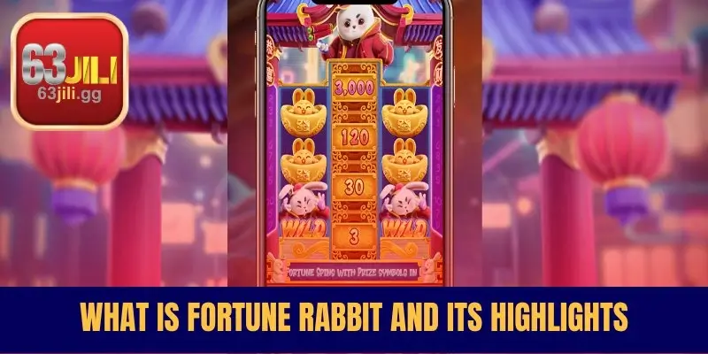 What is Fortune Rabbit and Its Highlights
