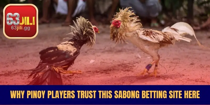Why Pinoy Players Trust This Sabong Betting Site Here